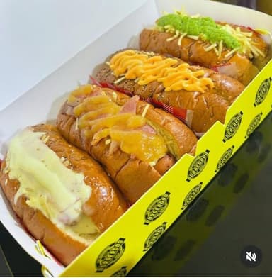 Dog 4 pack
