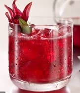 Agua de Jamaica