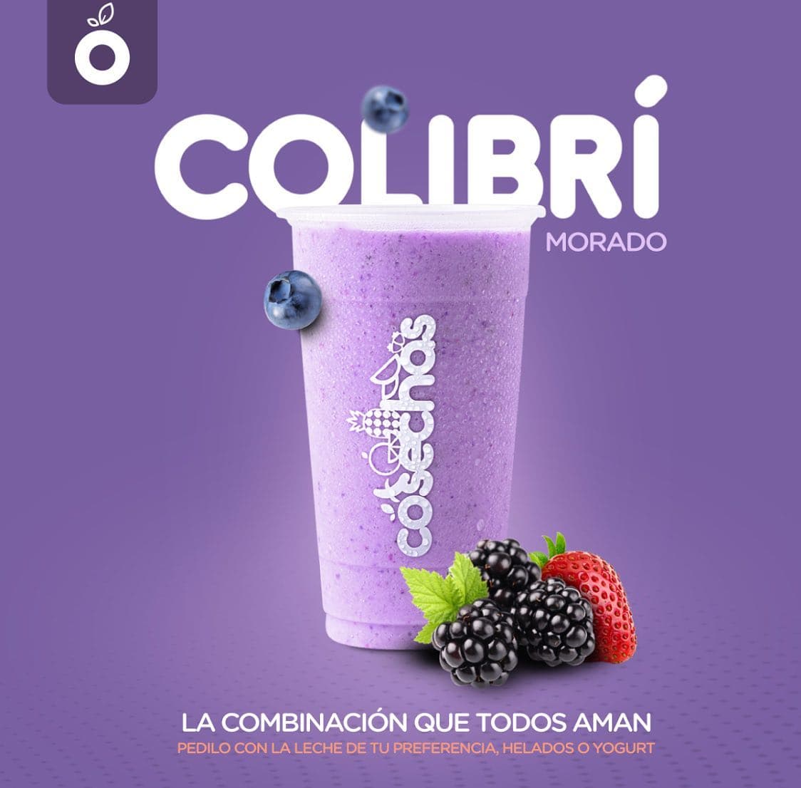 Colibrí Morado
