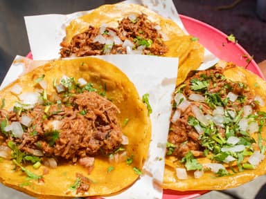 Taco de Birria