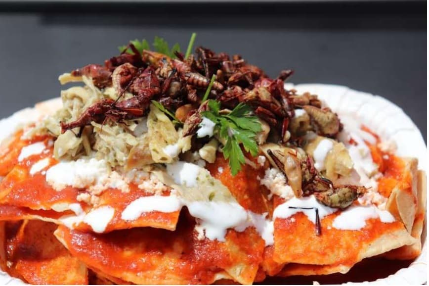 Combo Chilaquiles con Chapulin +bebida