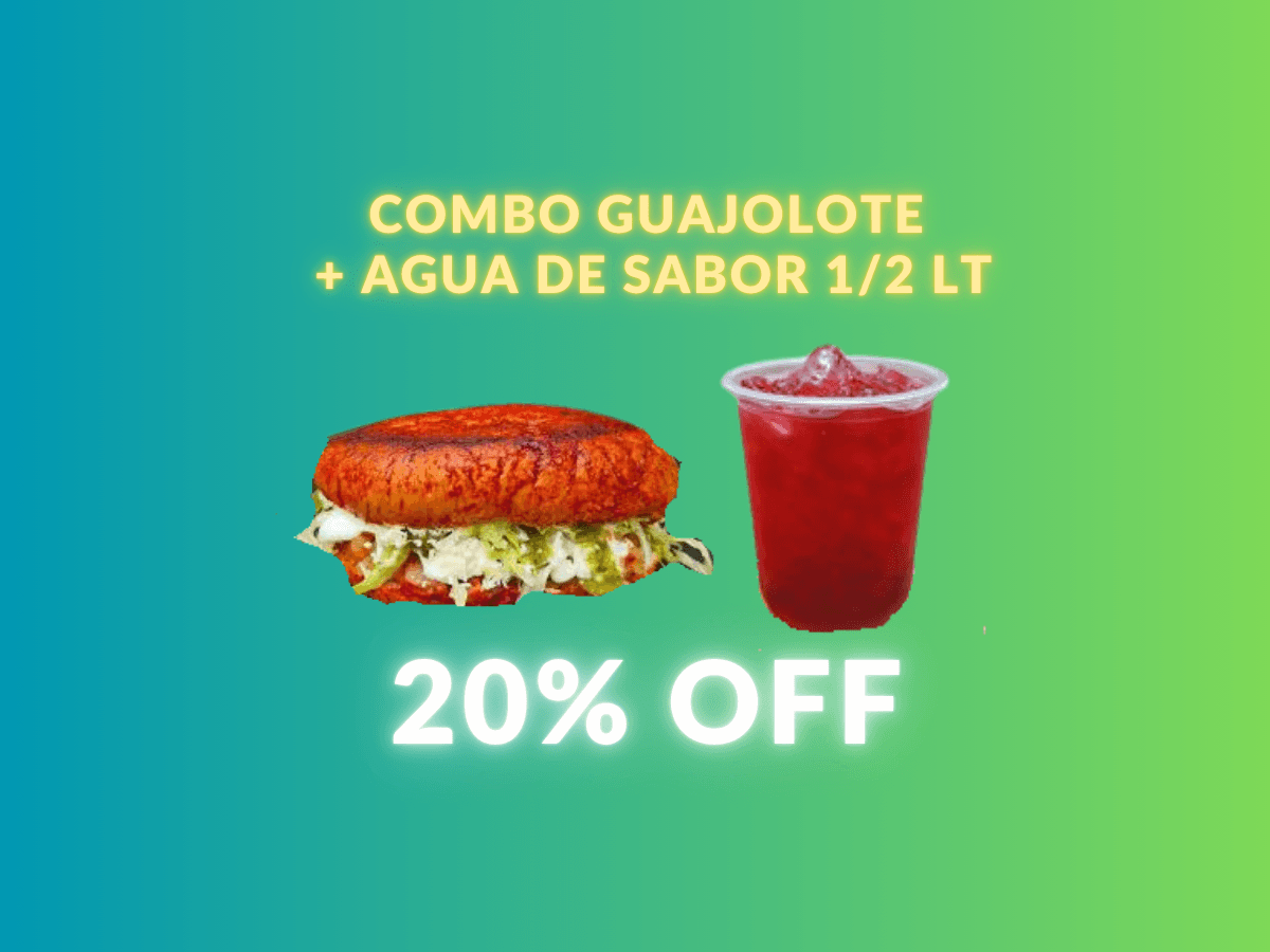 Combo Guajolote + Agua de Sabor 1/2 Lt
