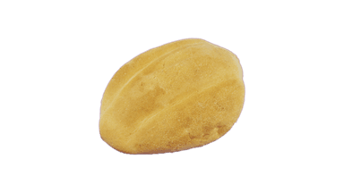 Telera