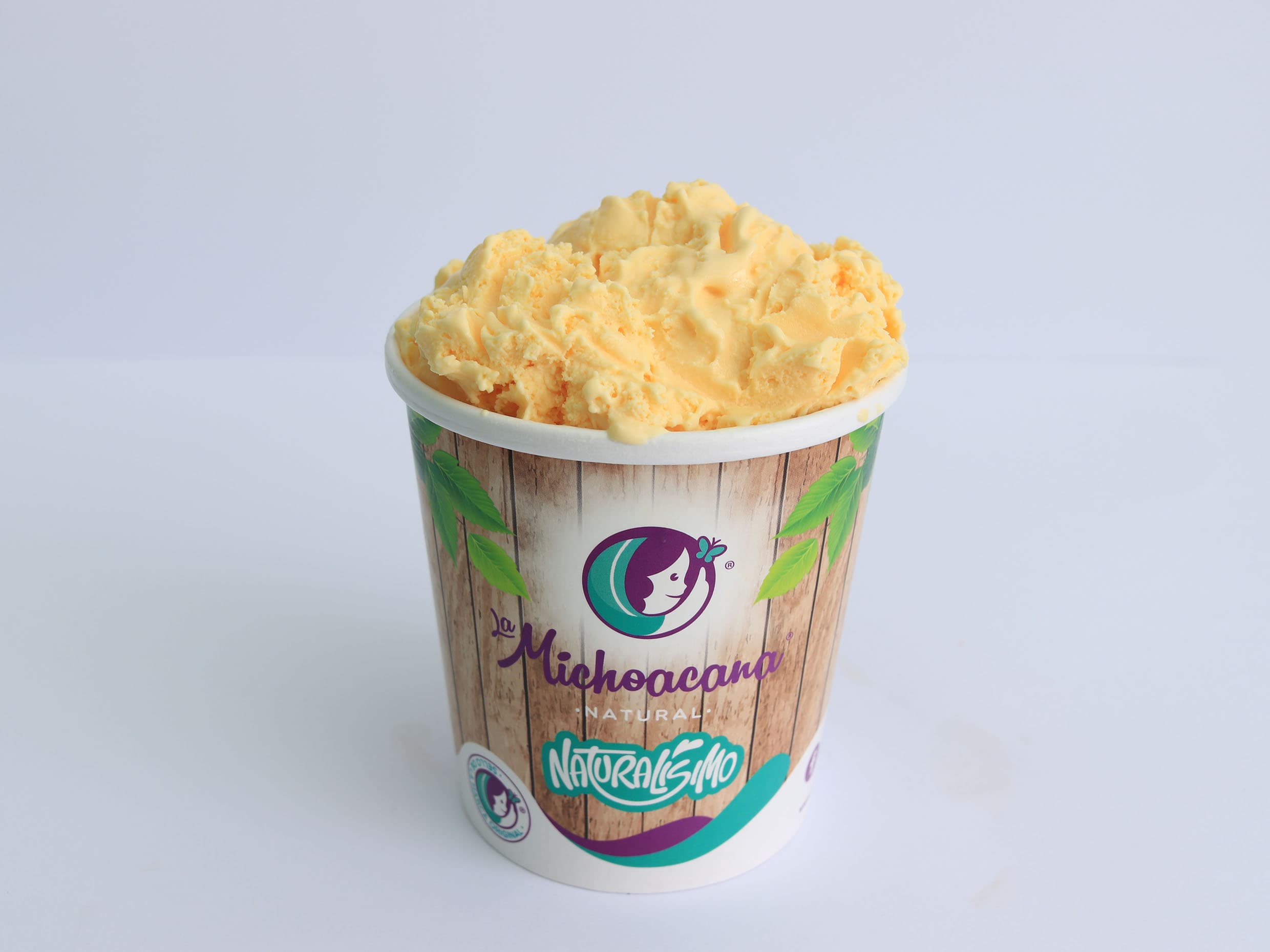 HELADO  SABOR VAINILLA