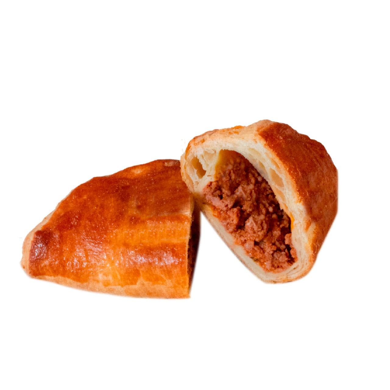 Bolognesa