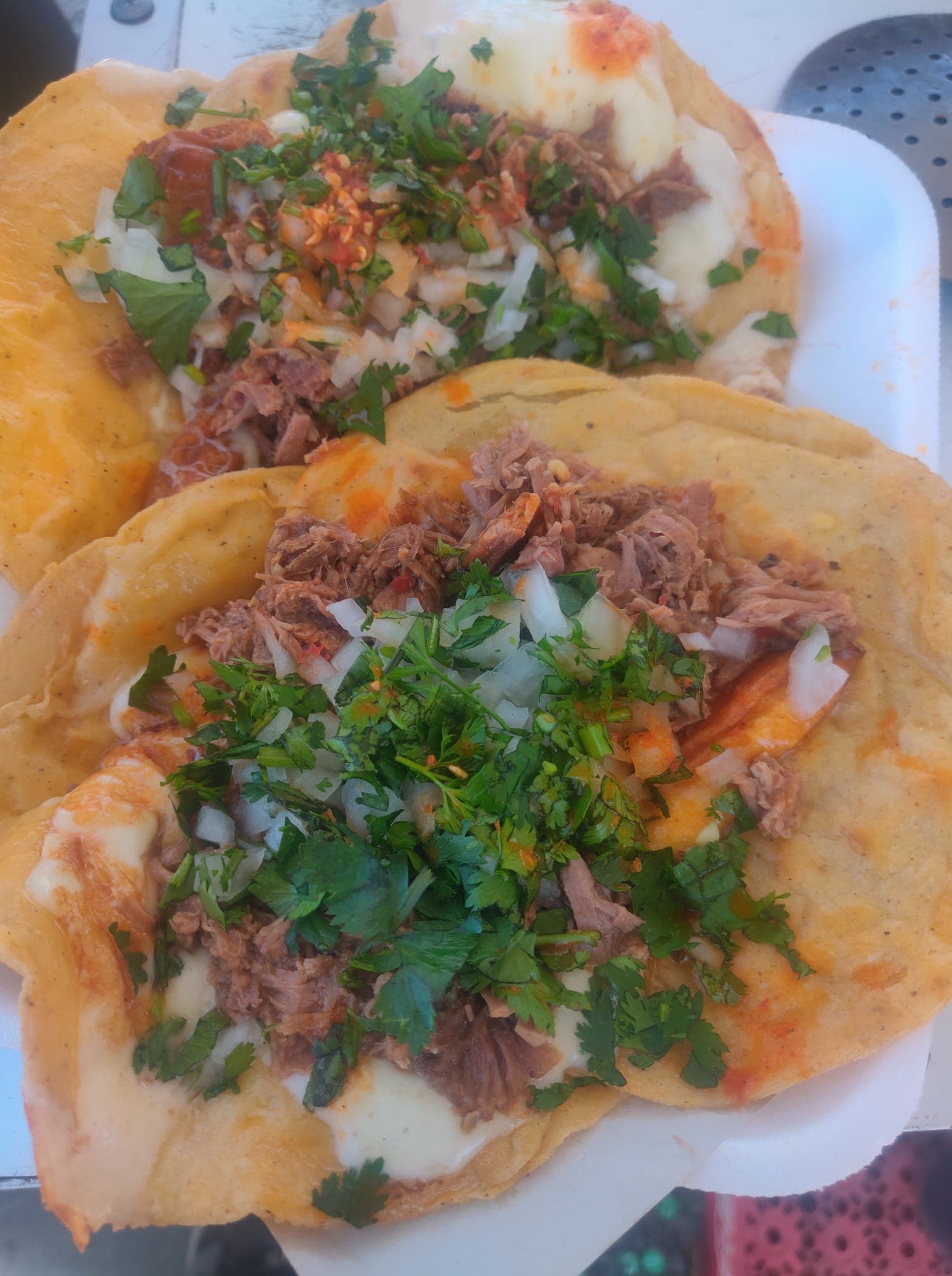 Quesa Combo