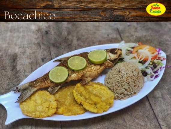 Bocachico