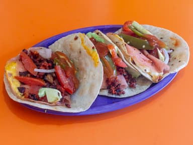Sincronizadas Sencilla 3 Piezas