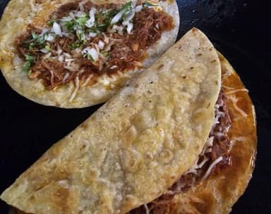 Quesadilla de Harina con Birria