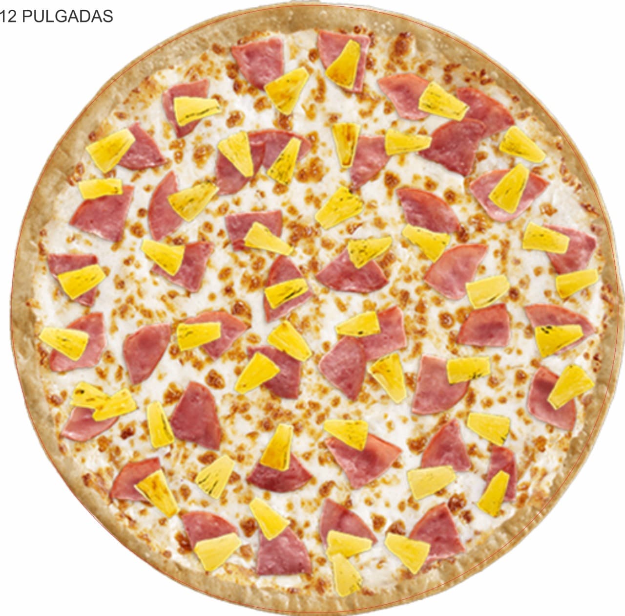 Pizza Chica (6 rebanadas)