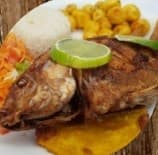 Mojarra de la Casa