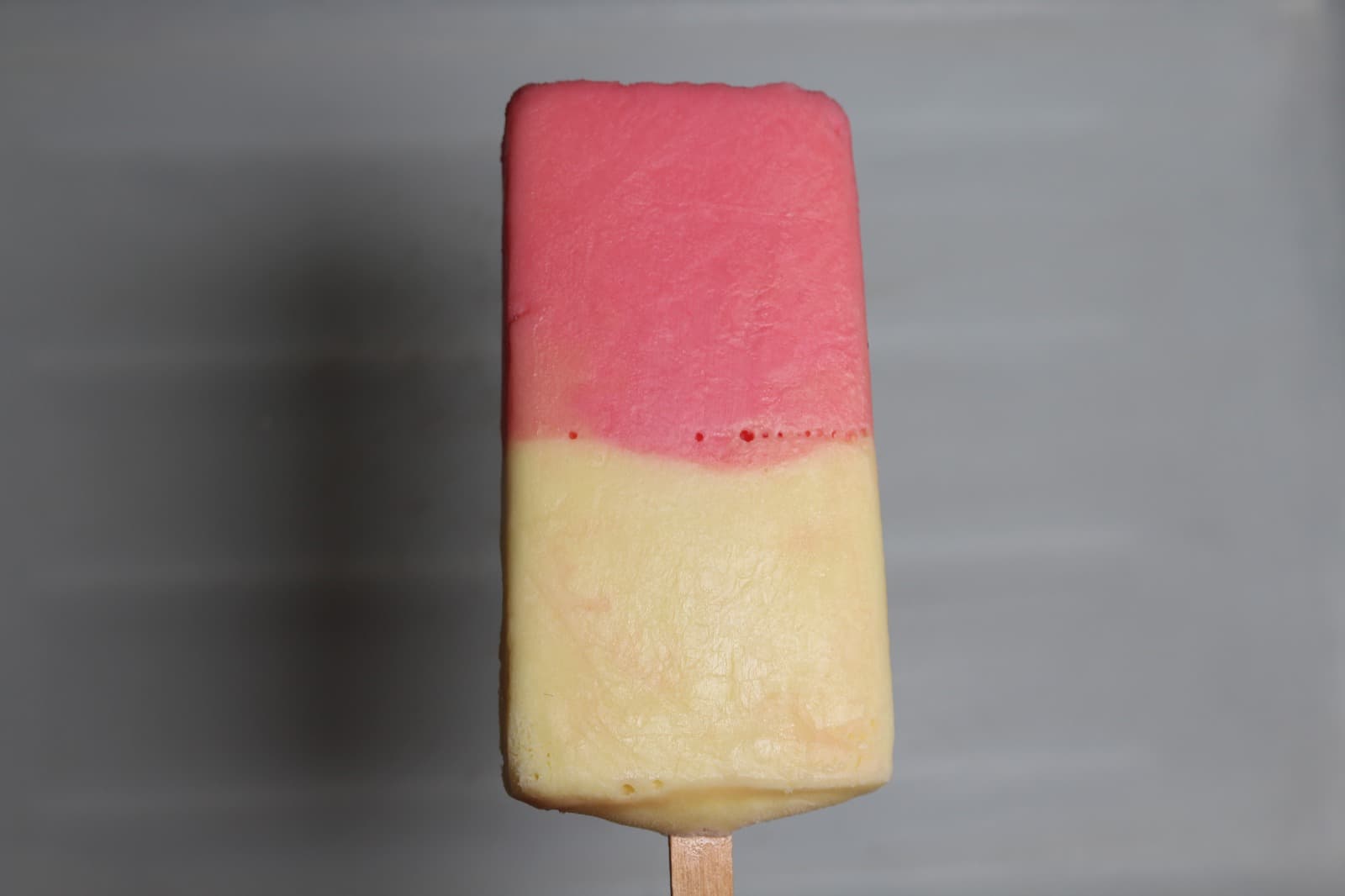 PALETA BICOLOR