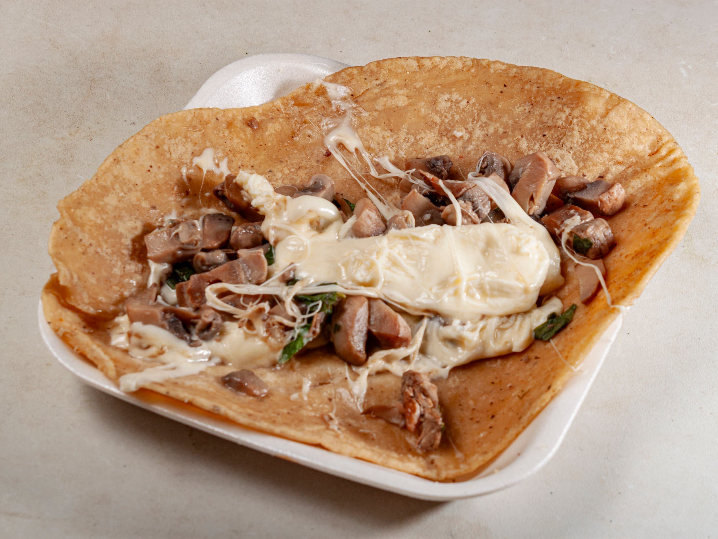 Quesadilla de Hongos