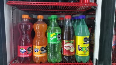 Refresco Familia Coca Cola 355ML