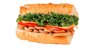 Panino Vegetariano