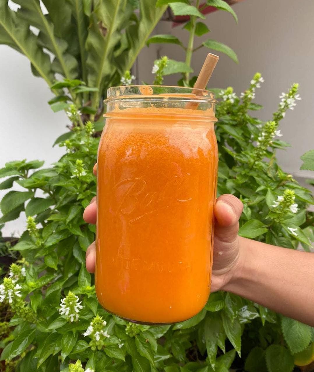 Jugo Dorado Chico