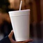 Horchata 1 Litro