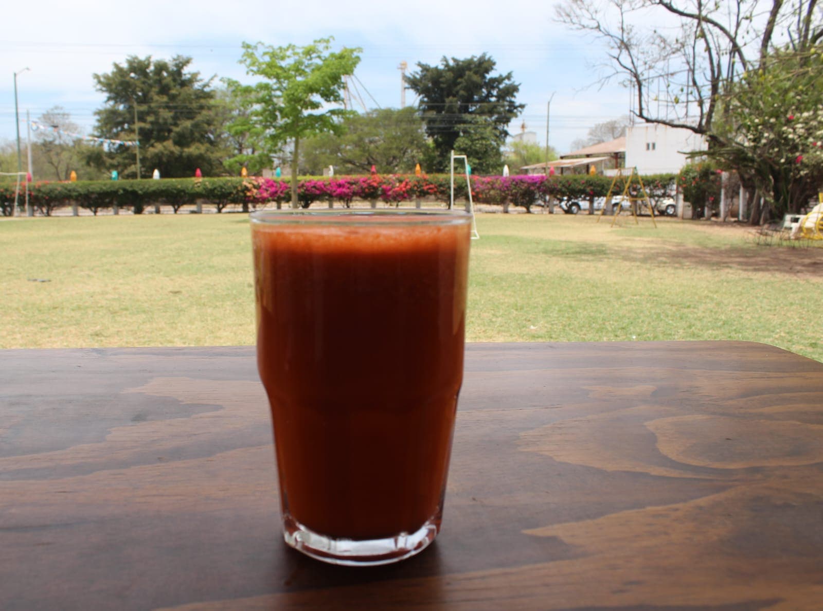 Jugo de Toronja 400ml
