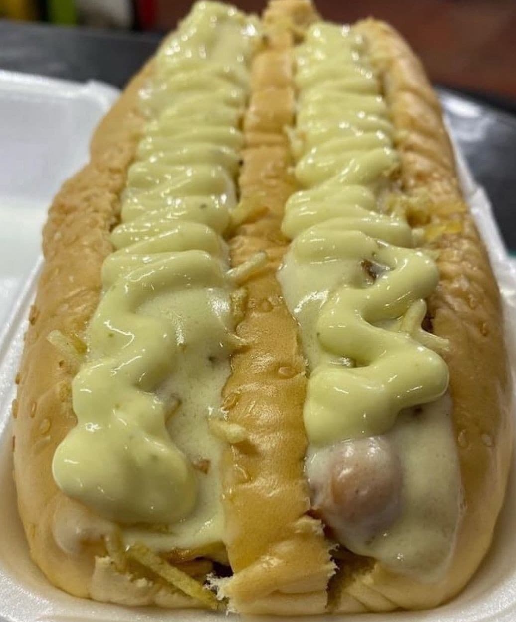 Perro Gemelo