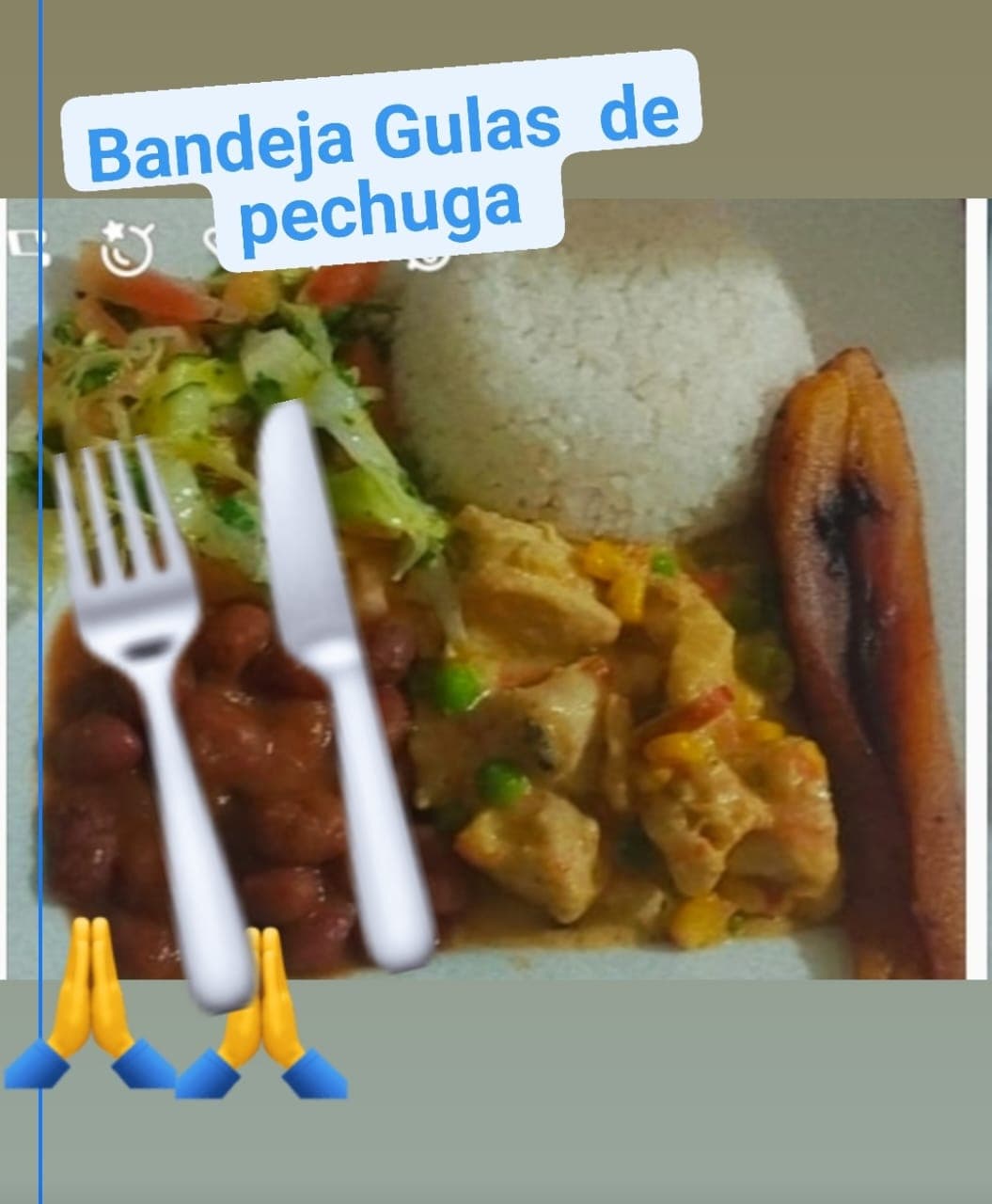 Bandeja Goulash de pollo