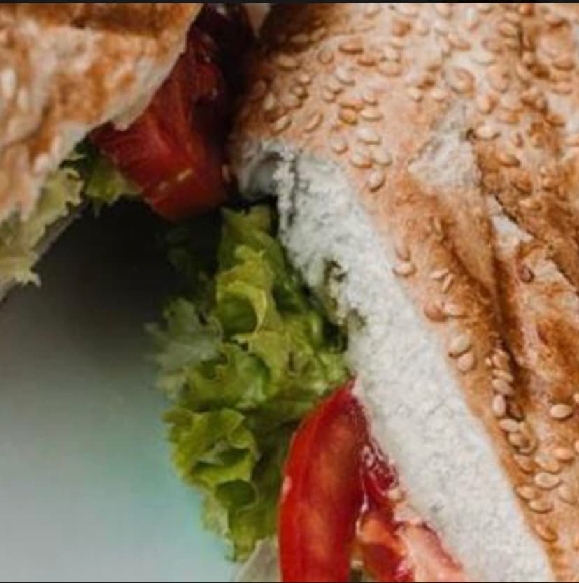 Panini