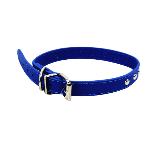 Collar Dog Asistente Strip Print Talla 3