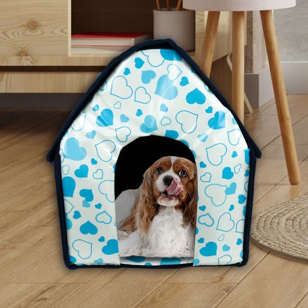 Lm Pet Ropa Para Mascota House