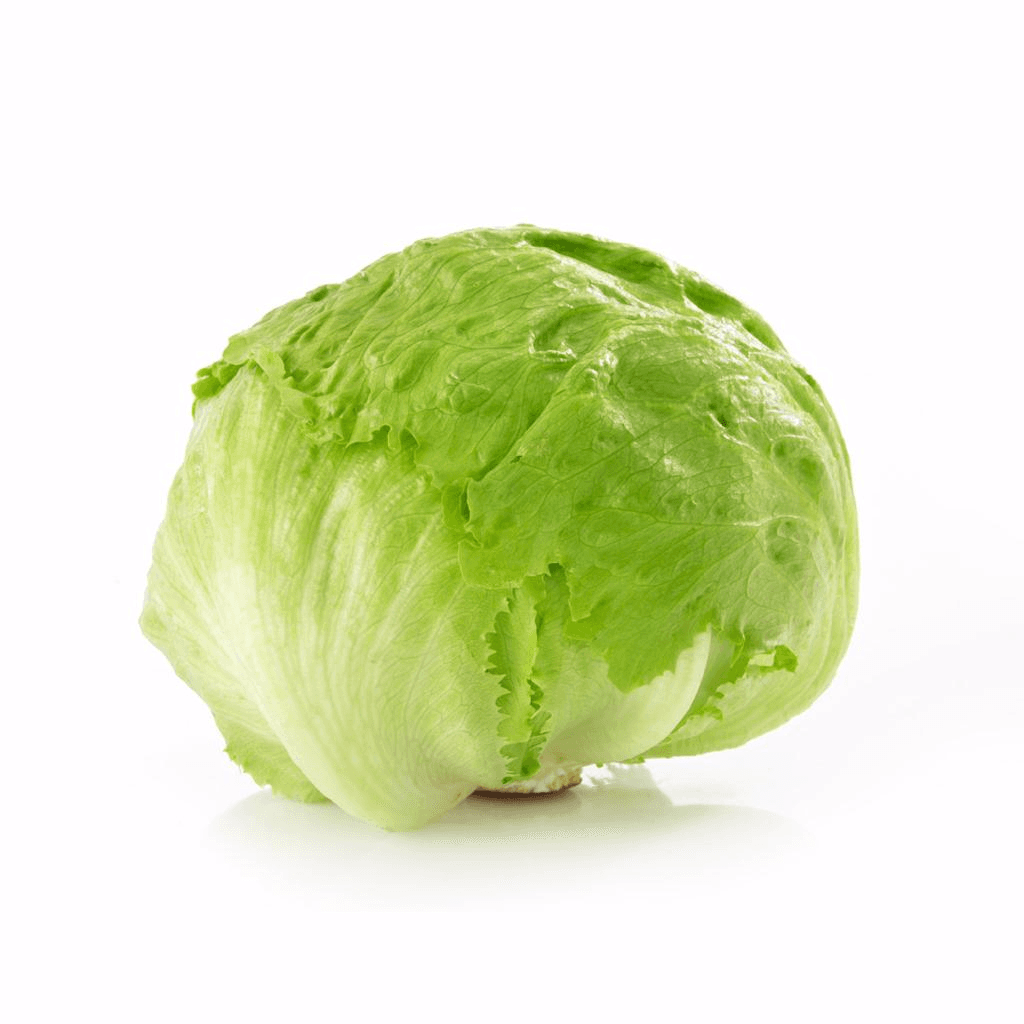 Lechuga Romana Pieza