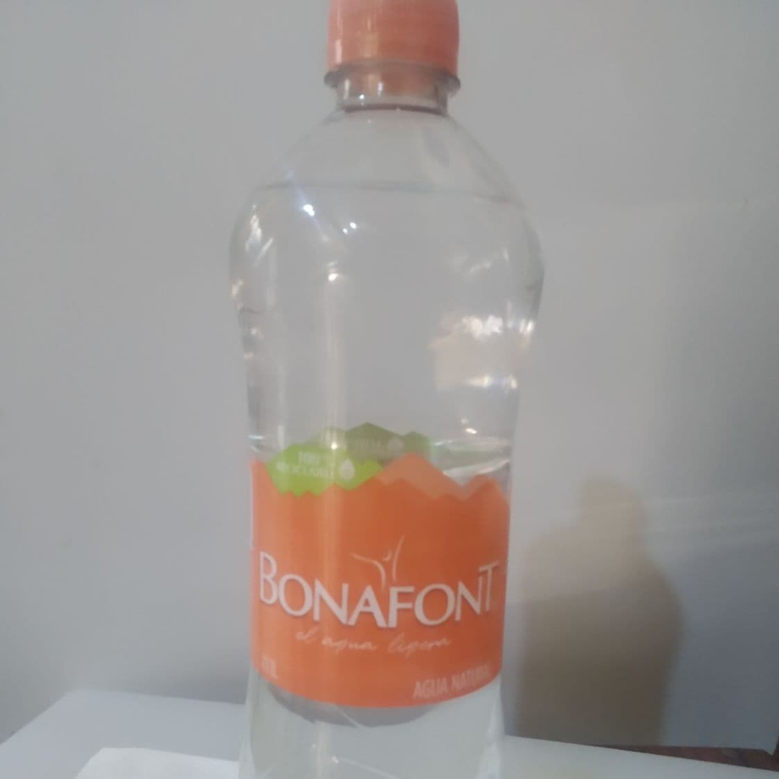 Agua Bonafont 1 Lt