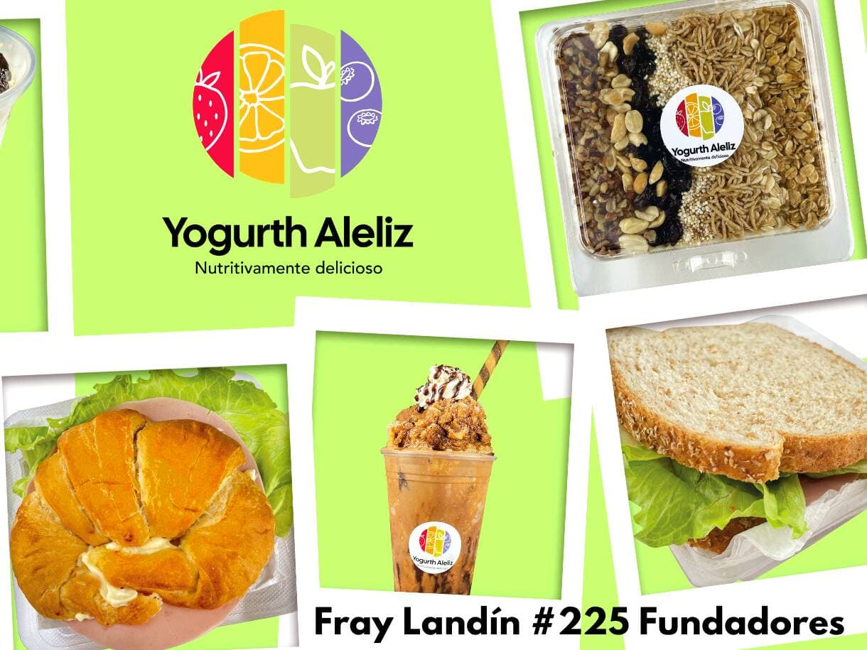 Yogurt Aleliz