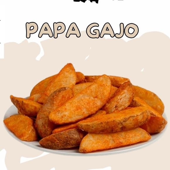 Papa Gajo