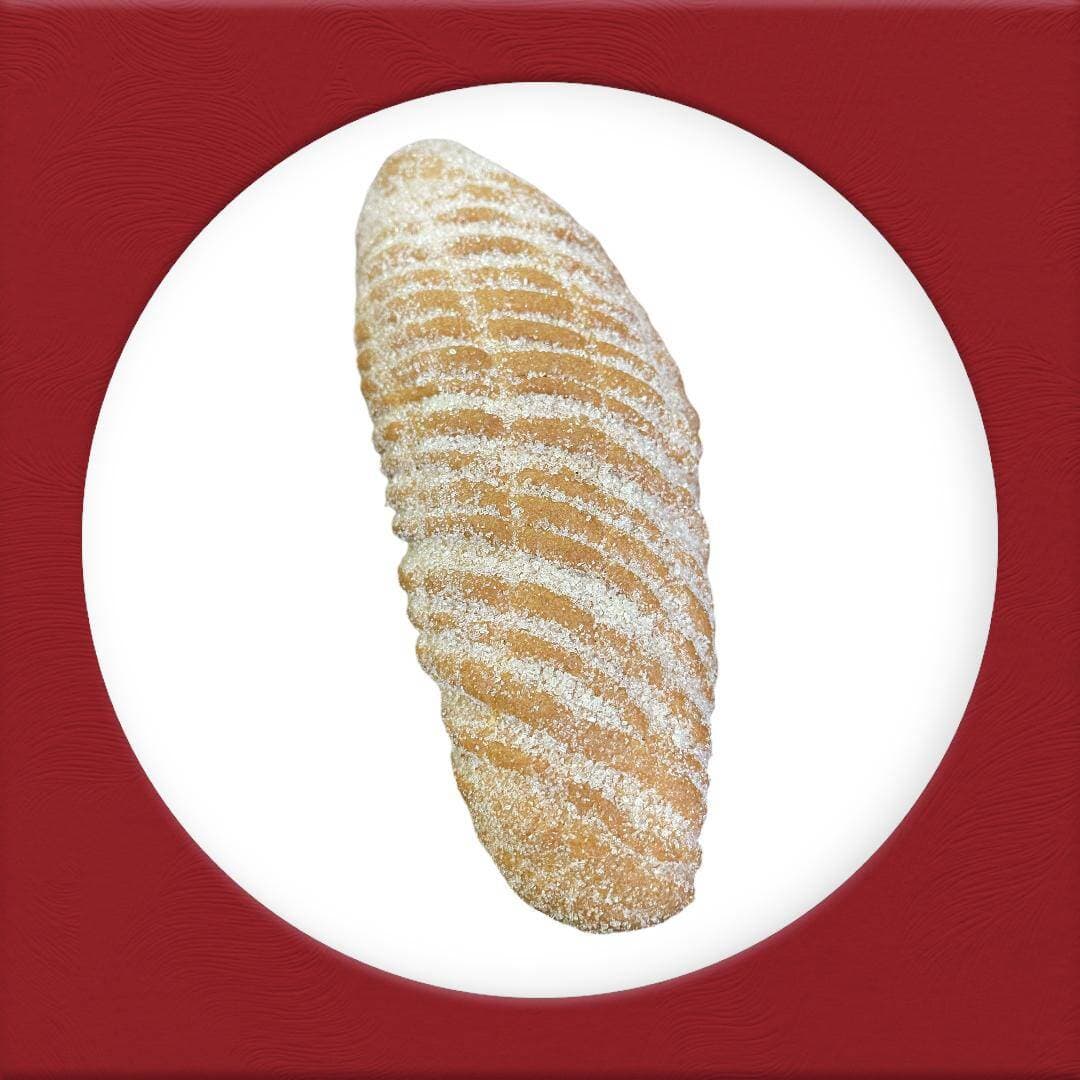 Elotito