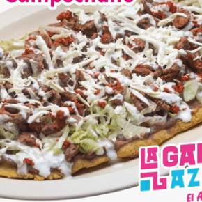 Huarache Pollo natural