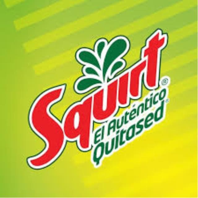 SQUIRT 355 ML