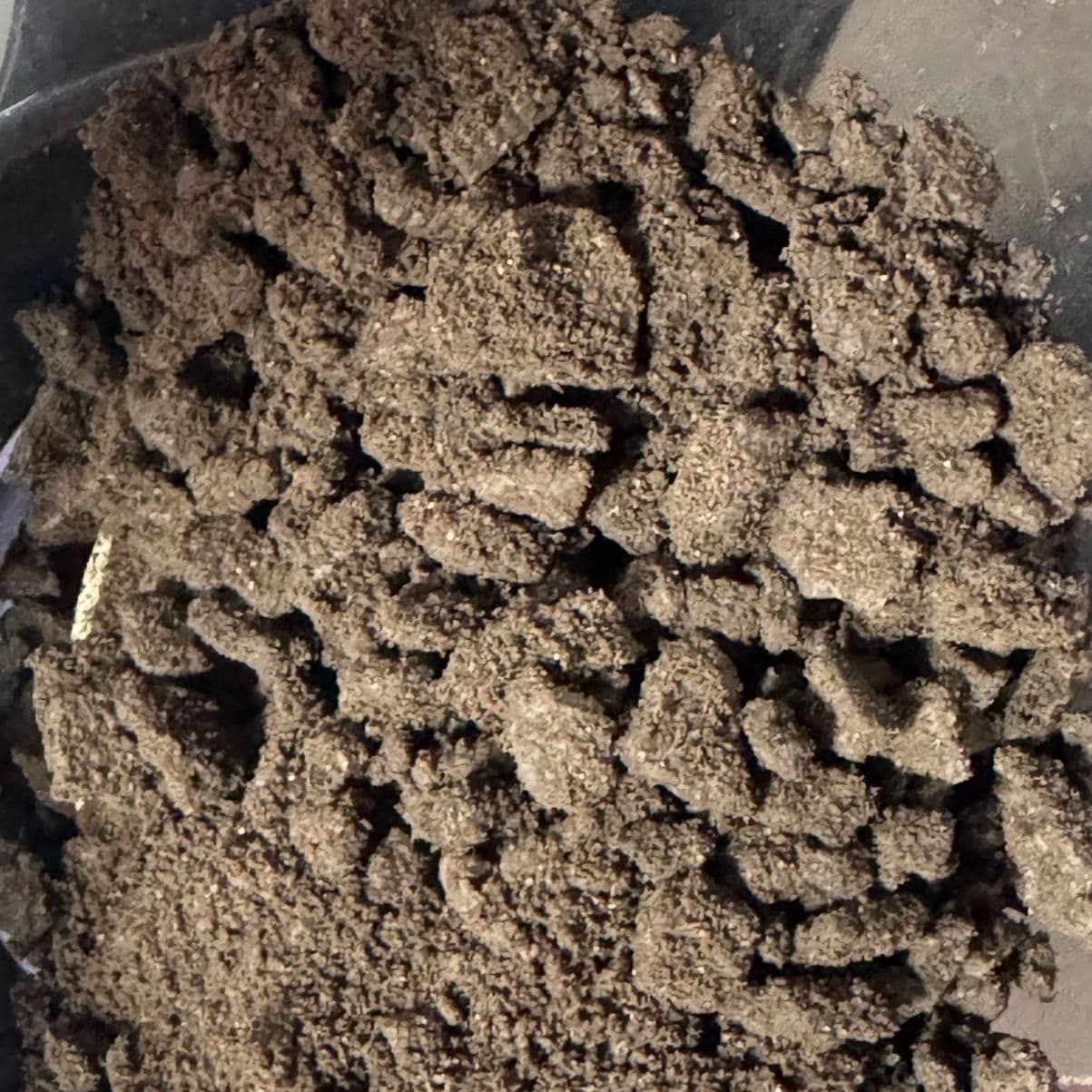Oreo