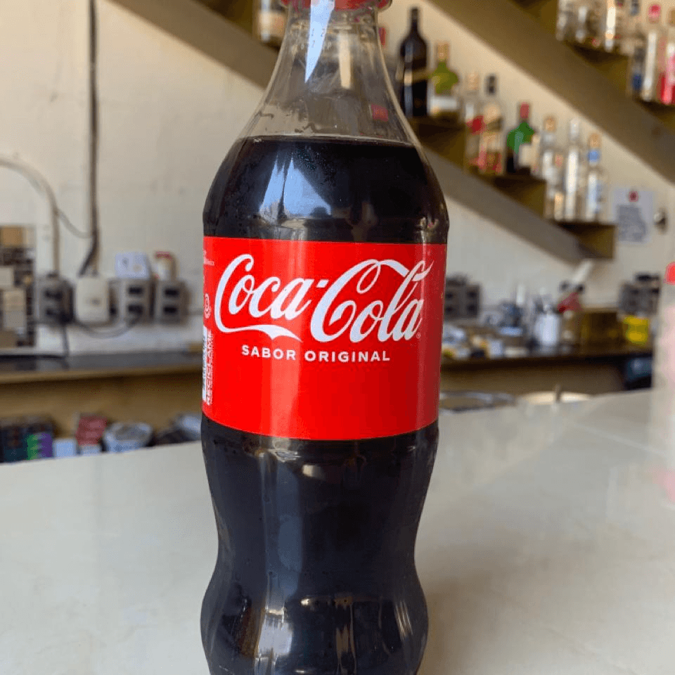Coca Cola 600 Mililitros