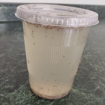Agua de fruta de temporada 1 Litro