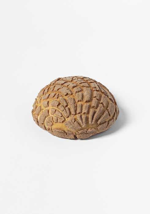 Concha Chocolate