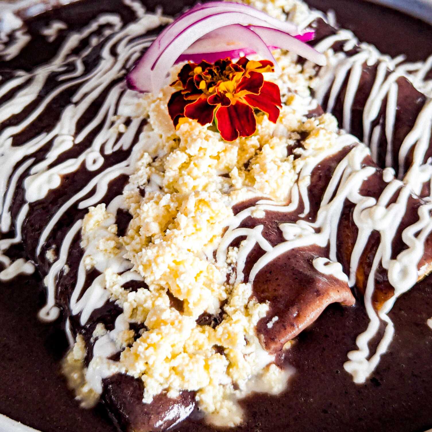 Enfrijoladas Coli-Yuca