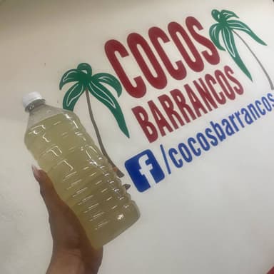 Limonada 1 L Mineral