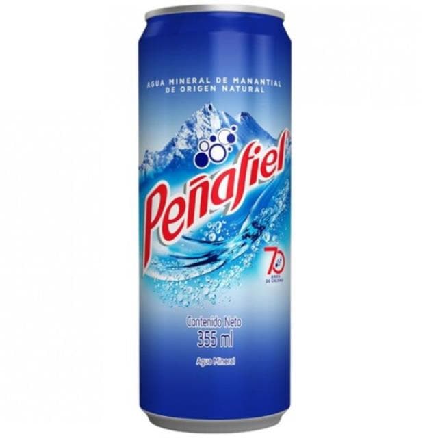 PEÑAFIEL 355 ML