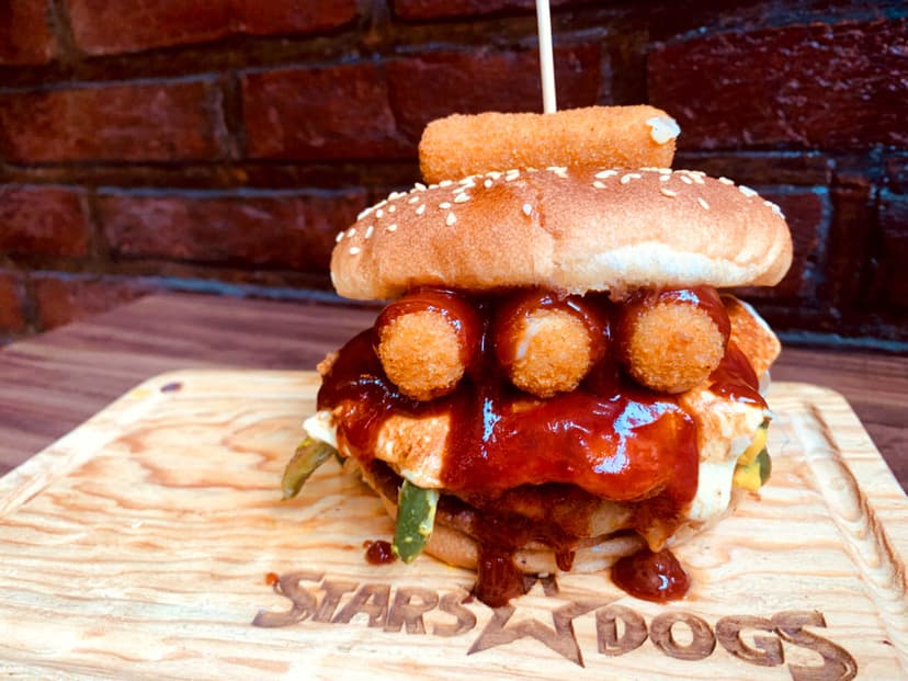 Starsdogs