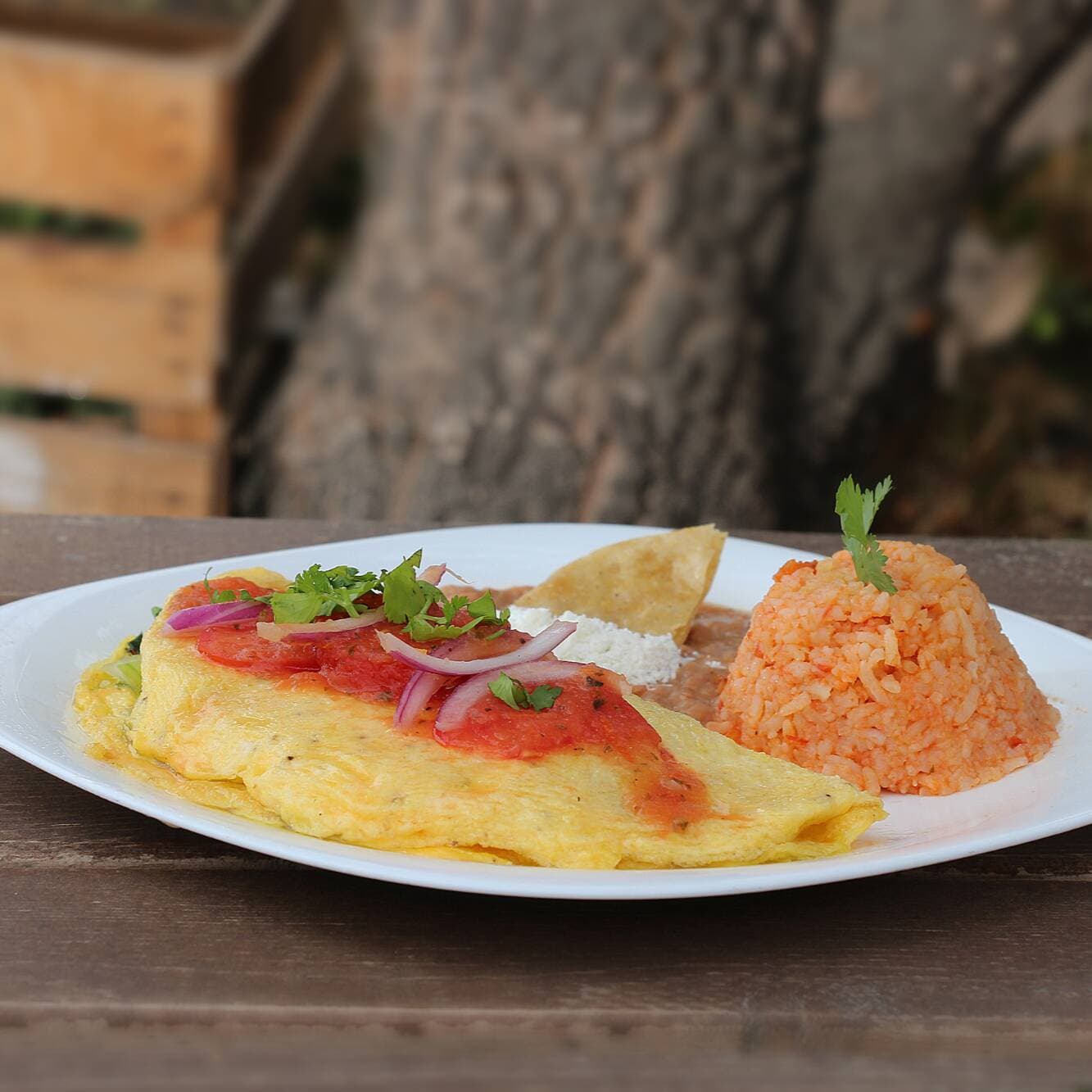 Omelette de Rajas con Espinacas