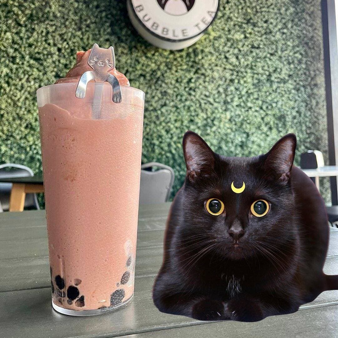 Frappe Luna