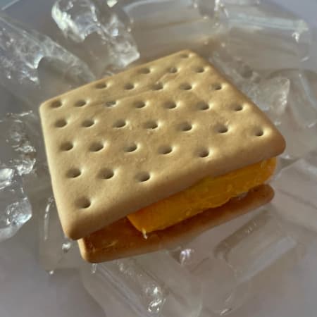 Sandwich