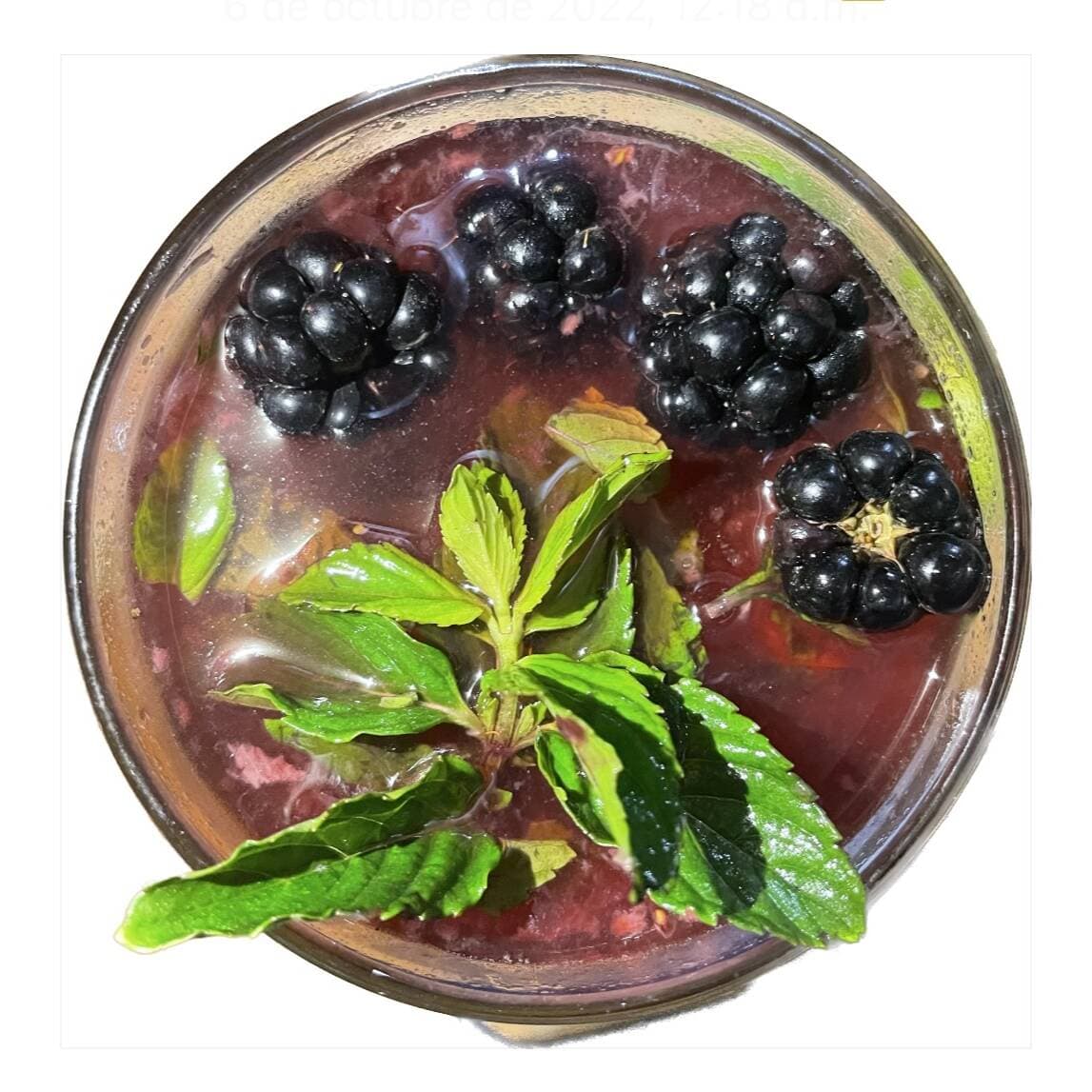 GIN DE ZARZAMORA