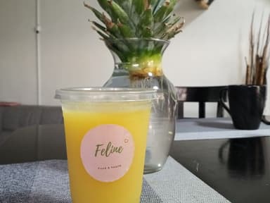 Jugo Don Gato