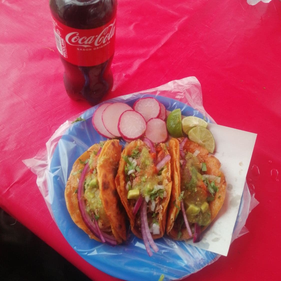 Taco de Carnitas