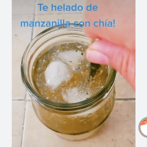 TÉ HELADO CON CHIA