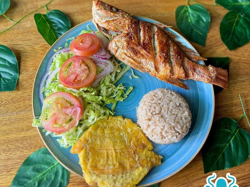 Bahia Gourmet